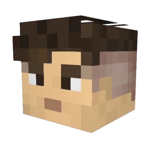 TrippyCat423 Minecraft avatar head, 3D render
