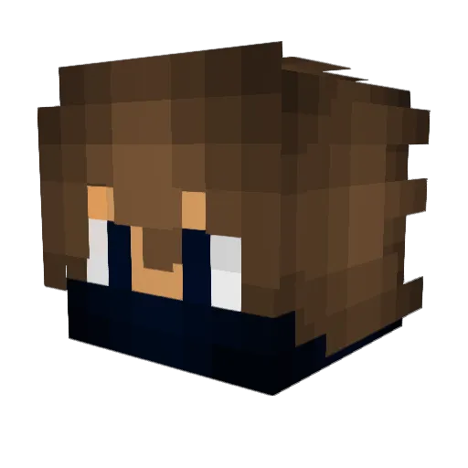 TrippyL2 Minecraft avatar head, 3D render