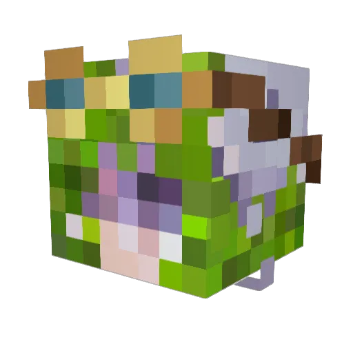 Trippy_Penguin_ Minecraft avatar head, 3D render