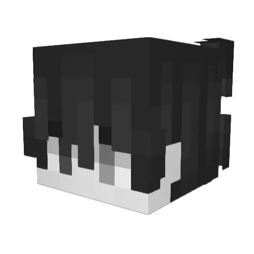 Trippysoul Minecraft avatar head, 3D render