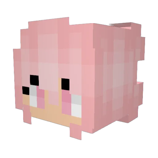 Trippyy_Vibezz Minecraft avatar head, 3D render