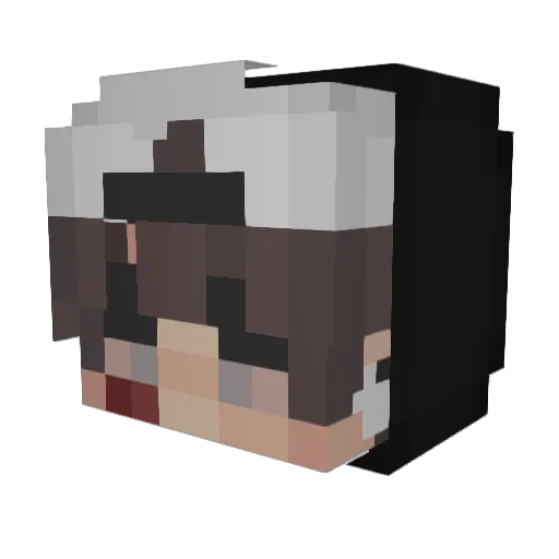 TripsyParadise Minecraft avatar head, 3D render