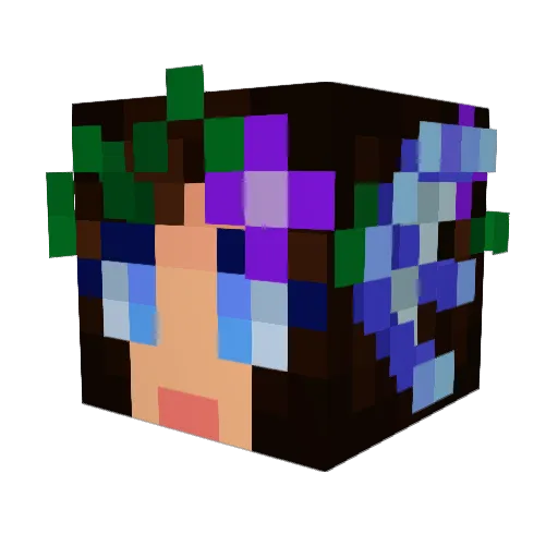 Triptanous Minecraft avatar head, 3D render