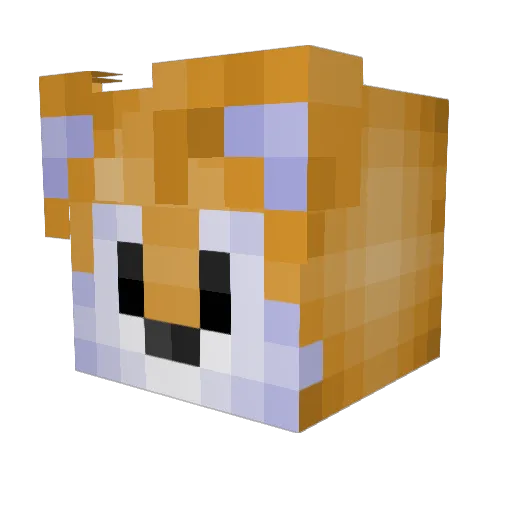 TripyLachlan37 Minecraft avatar head, 3D render