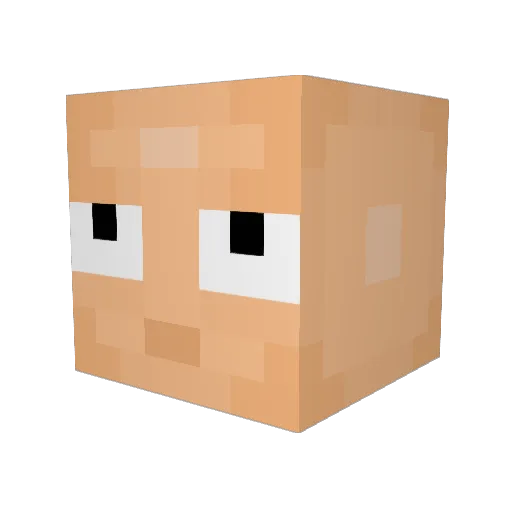 Tripz13 Minecraft avatar head, 3D render