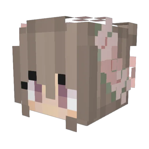 Triscub Minecraft avatar head, 3D render