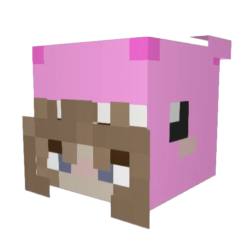 Triscuit27 Minecraft avatar head, 3D render