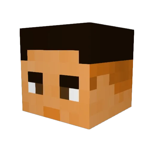 Trish_x33 Minecraft avatar head, 3D render