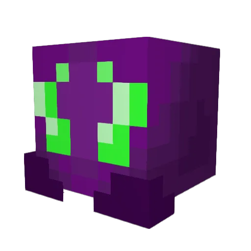 Triskele73 Minecraft avatar head, 3D render