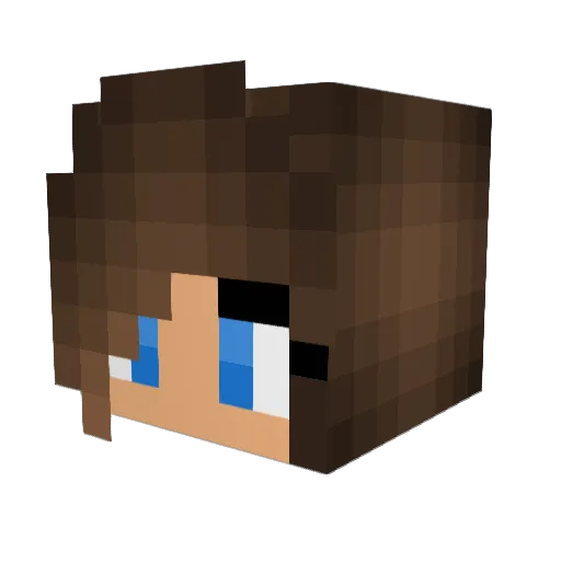 Trisket114 Minecraft avatar head, 3D render