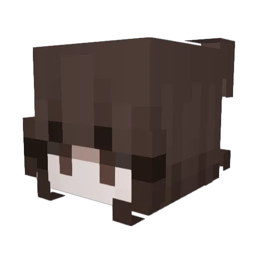 Trisselsten Minecraft avatar head, 3D render