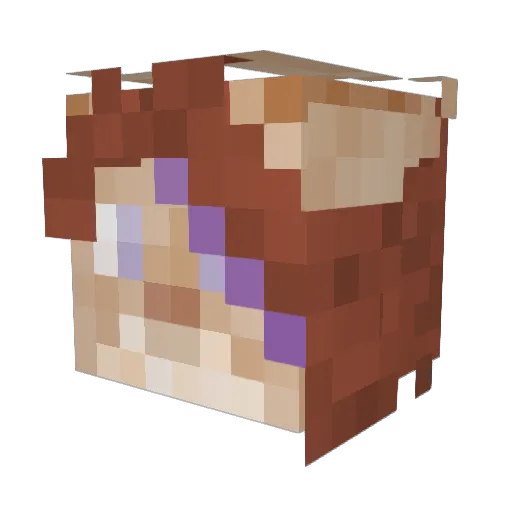 Trissssssss Minecraft avatar head, 3D render