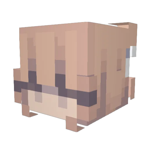 Tristan589 Minecraft avatar head, 3D render
