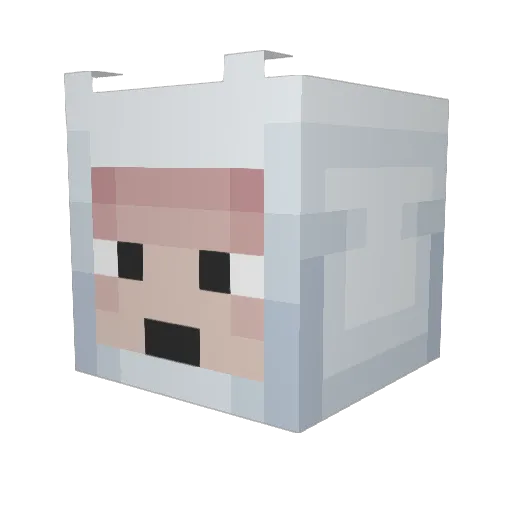 TristanBear Minecraft avatar head, 3D render