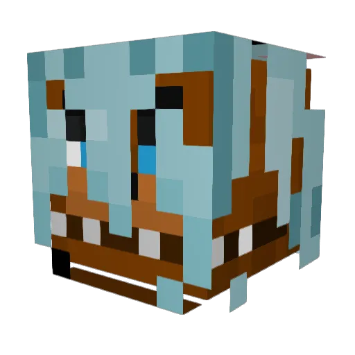 TristanInFluxx Minecraft avatar head, 3D render
