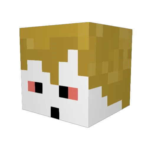 TristanPW_ Minecraft avatar head, 3D render