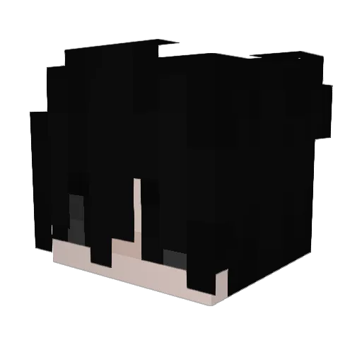 Tristanbtw Minecraft avatar head, 3D render