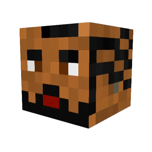 Tristankii Minecraft avatar head, 3D render