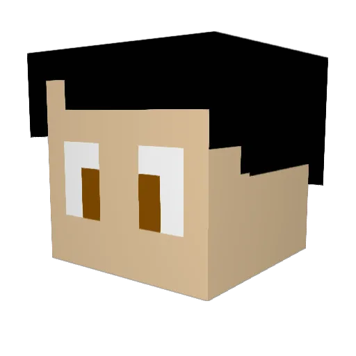 Triste81 Minecraft avatar head, 3D render