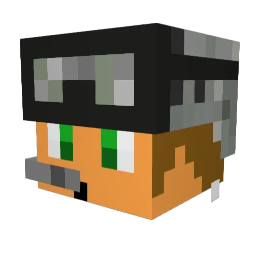 TristenFletcher1 Minecraft avatar head, 3D render