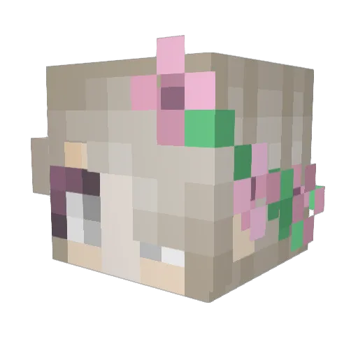 Tristesse22 Minecraft avatar head, 3D render