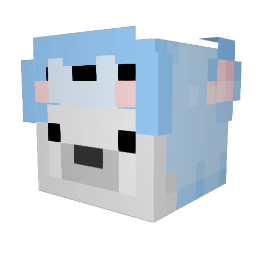TristinIsEpic Minecraft avatar head, 3D render