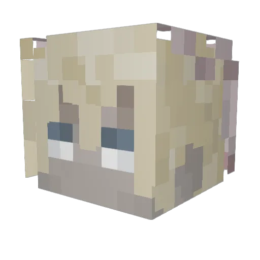 TrisviaNumbers Minecraft avatar head, 3D render