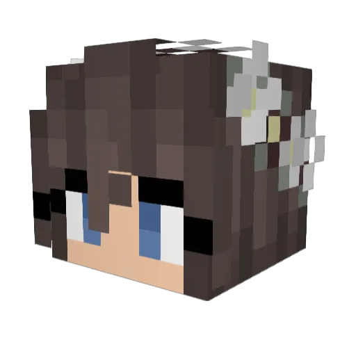 Tritium0 Minecraft avatar head, 3D render