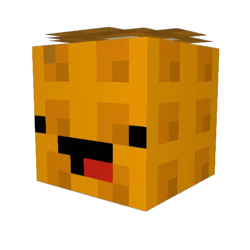 TritonLe Minecraft avatar head, 3D render
