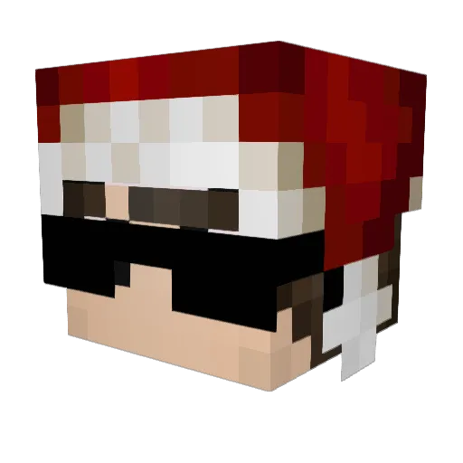 Tritton_Gamer Minecraft avatar head, 3D render