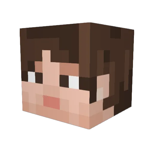 Trivaldrop Minecraft avatar head, 3D render