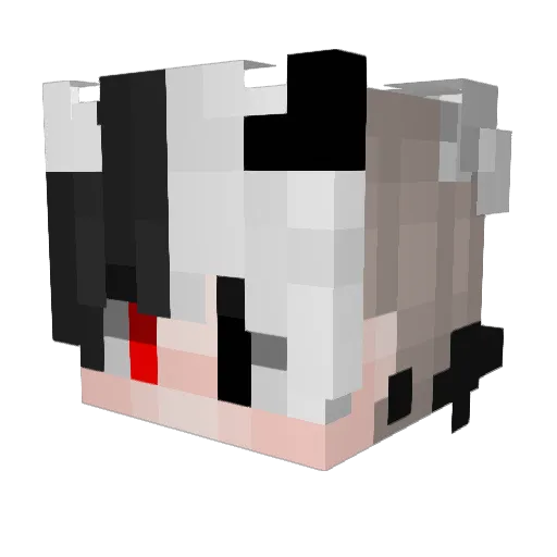 Trix2307 Minecraft avatar head, 3D render