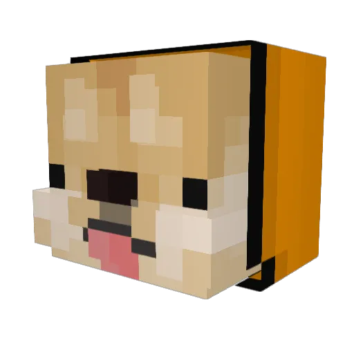 Trix349 Minecraft avatar head, 3D render