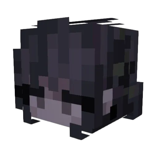 TrixAre4Kidz06 Minecraft avatar head, 3D render