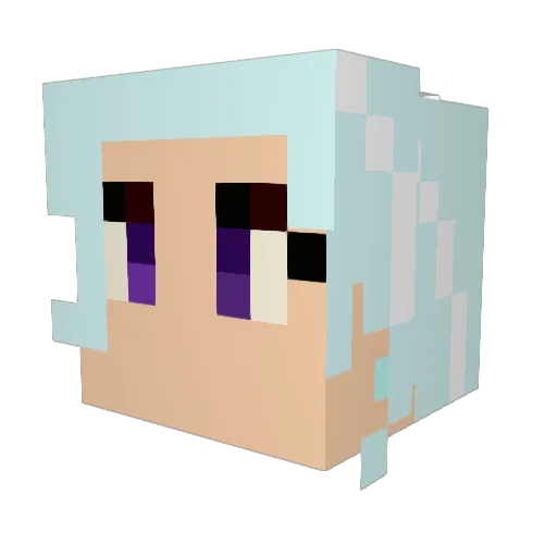 Trix_Trix Minecraft avatar head, 3D render