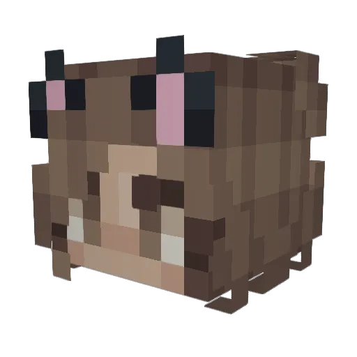 Trixianna Minecraft avatar head, 3D render