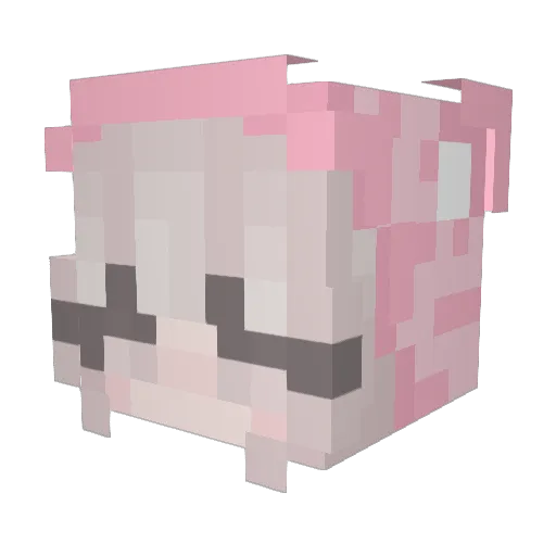 Trixic Minecraft avatar head, 3D render
