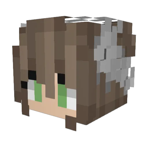 Trixie43 Minecraft avatar head, 3D render