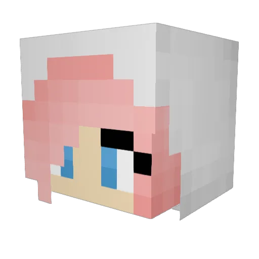TrixieDog789 Minecraft avatar head, 3D render