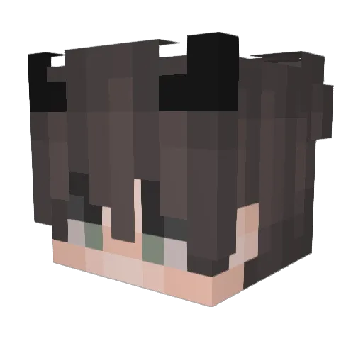 Trixim Minecraft avatar head, 3D render