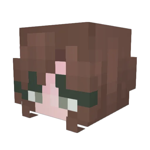 Trixk01 Minecraft avatar head, 3D render