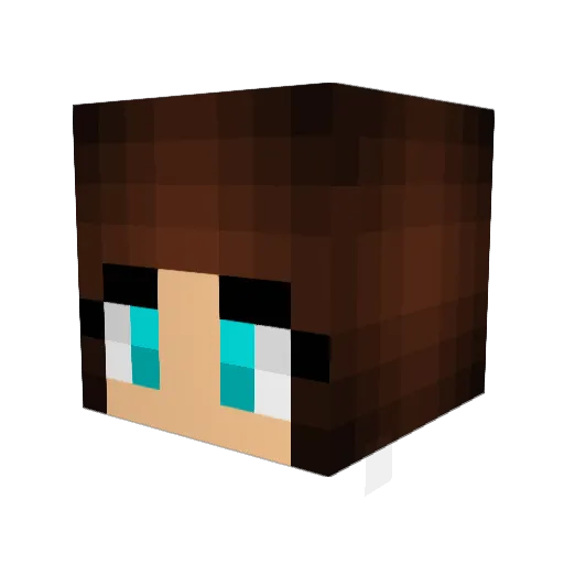 Trixter08 Minecraft avatar head, 3D render