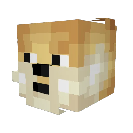 Trixter3333 Minecraft avatar head, 3D render