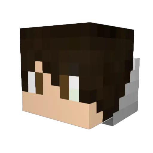 Trixx51 Minecraft avatar head, 3D render