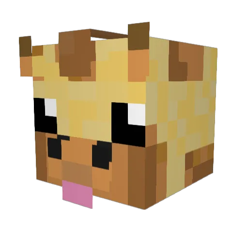 Trixxxou Minecraft avatar head, 3D render