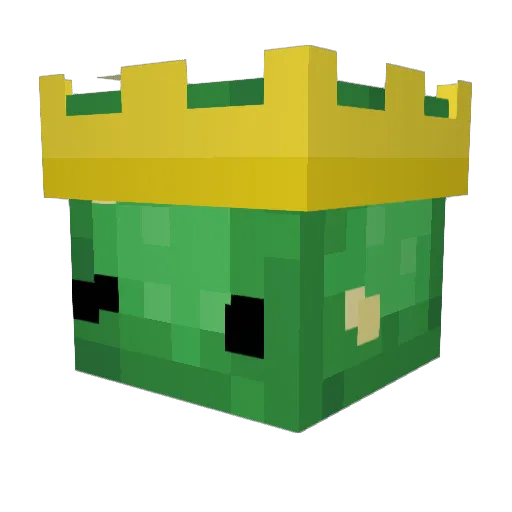 Trixxyz Minecraft avatar head, 3D render