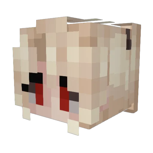 TrnnyLina Minecraft avatar head, 3D render