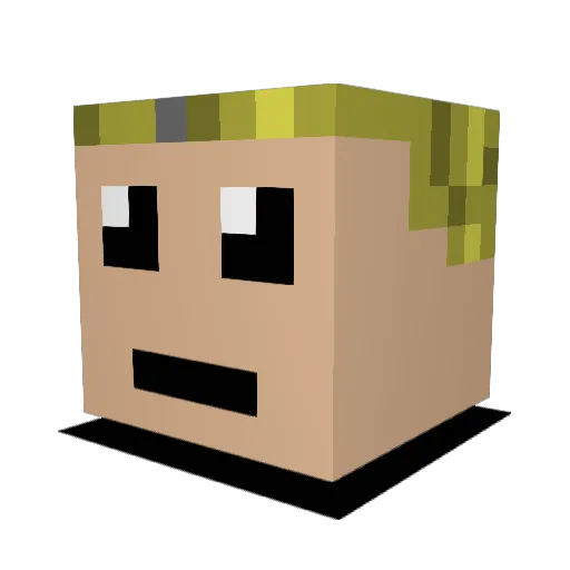TroChic Minecraft avatar head, 3D render