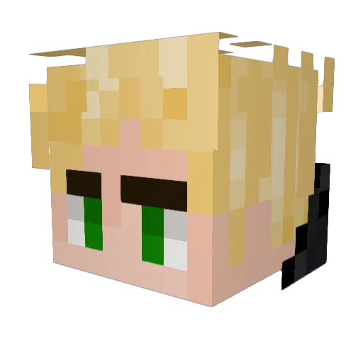 TroFek Minecraft avatar head, 3D render