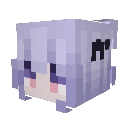 Troad13 Minecraft avatar head, 3D render